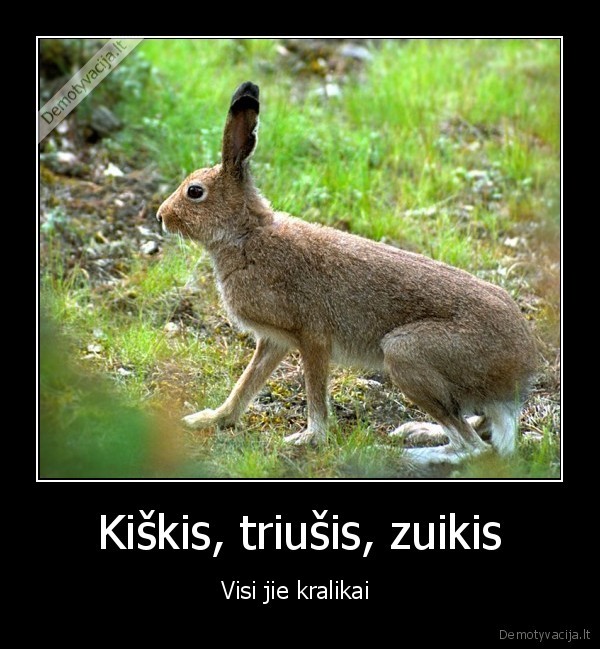 neklausk,meiles,vardo