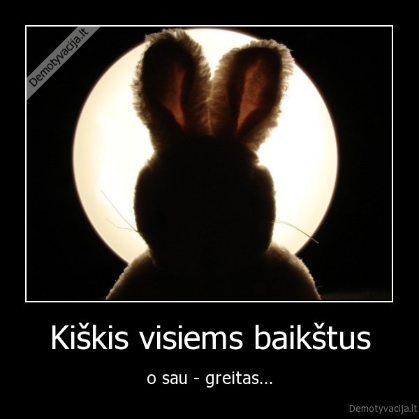Kiškis visiems baikštus