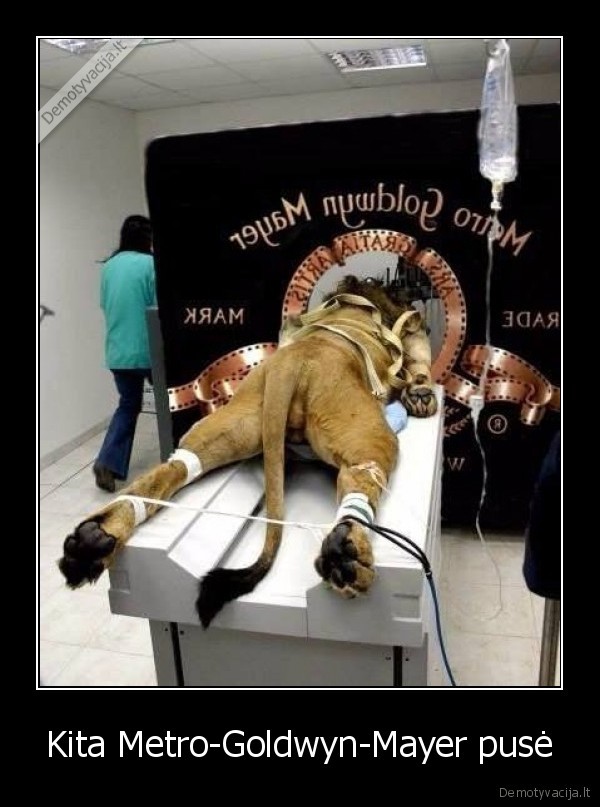 metro, goldwyn, mayer