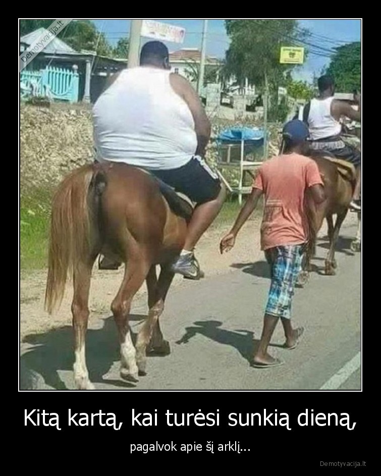 sunki,diena,arklys,storas