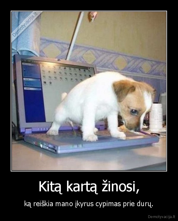 Kitą kartą žinosi,