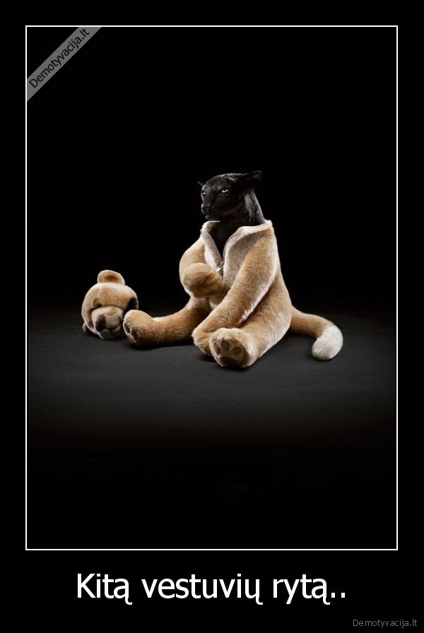 Kitą vestuvių rytą..