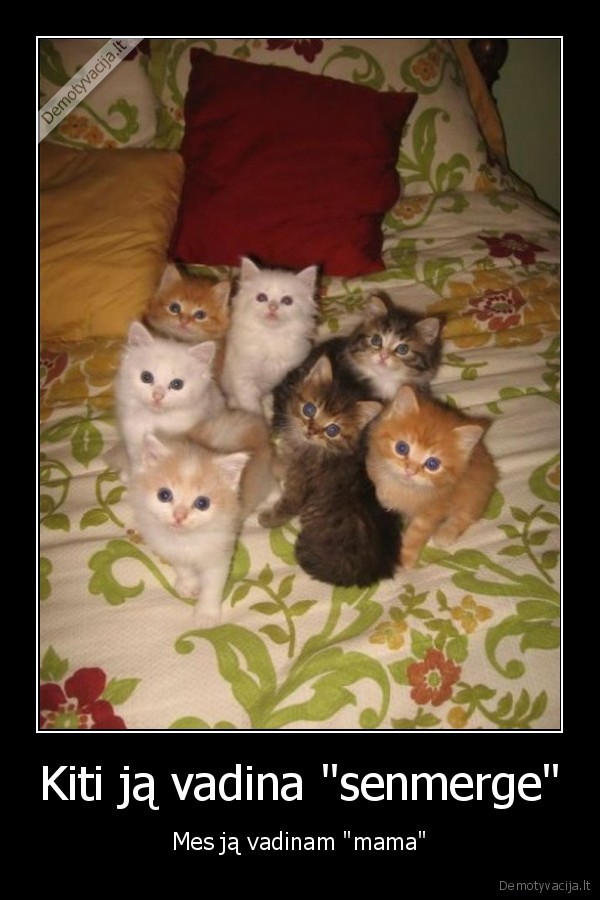 mieli, kaciukai,mazi, kaciukai