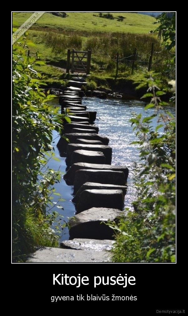 kelias,blaivus