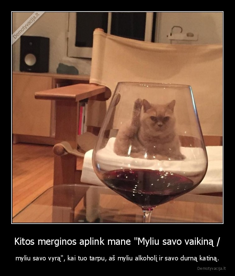 merginos,vienatve,katinai,vynas,santykiai,alkoholis