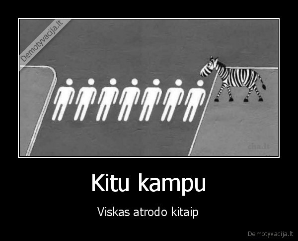 save, animals, zebrai, zebras, salies, kitu, kampu