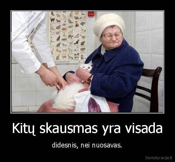 skausmas,kate,katinas,nuosavas