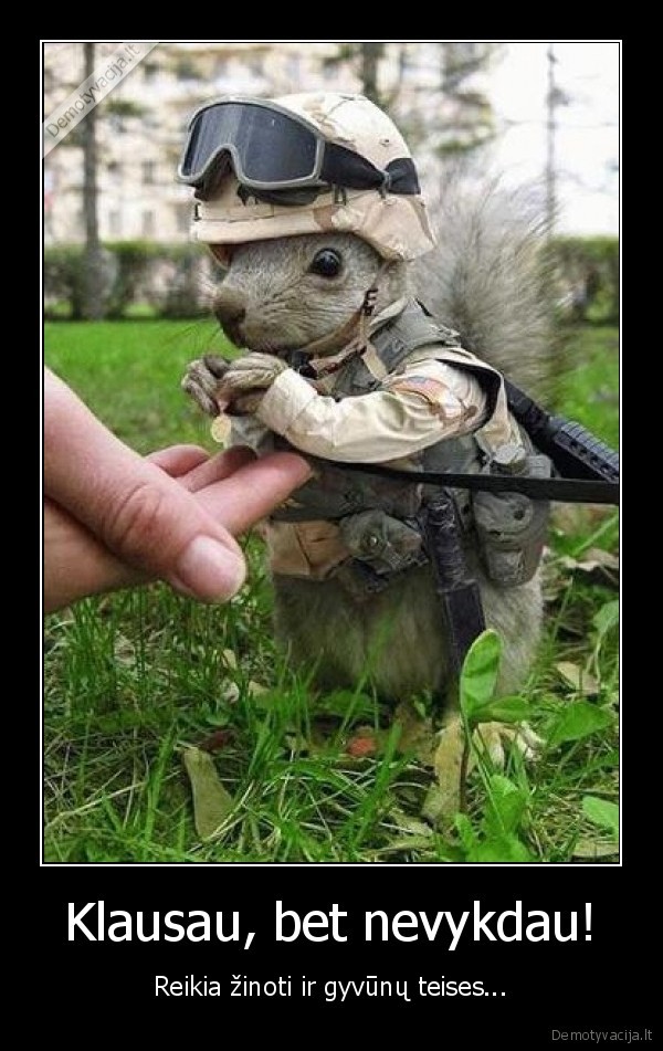 klausau,nevykdau,gyvunu, teises