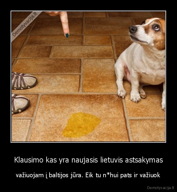 Klausimo kas yra naujasis lietuvis astsakymas