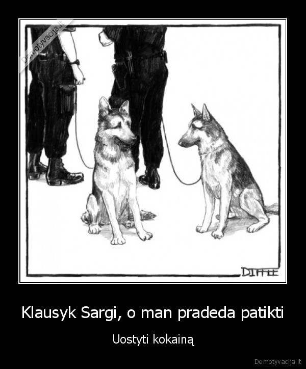 kokainas,policijos, sunys,tarnybiniai, sunys