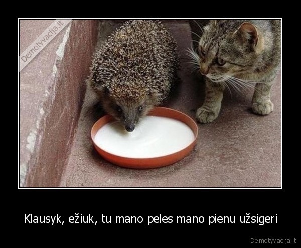 Klausyk, ežiuk, tu mano peles mano pienu užsigeri