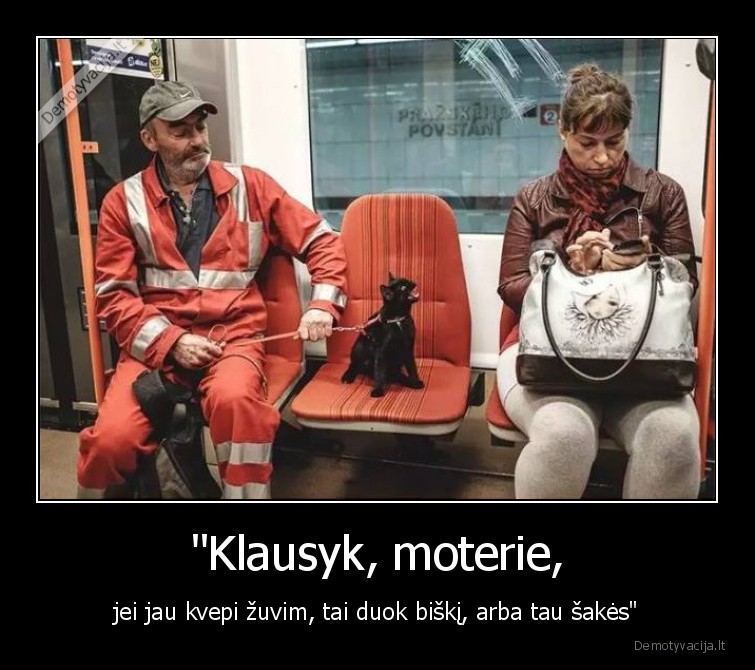 kate,katinas,zuvis,moteris