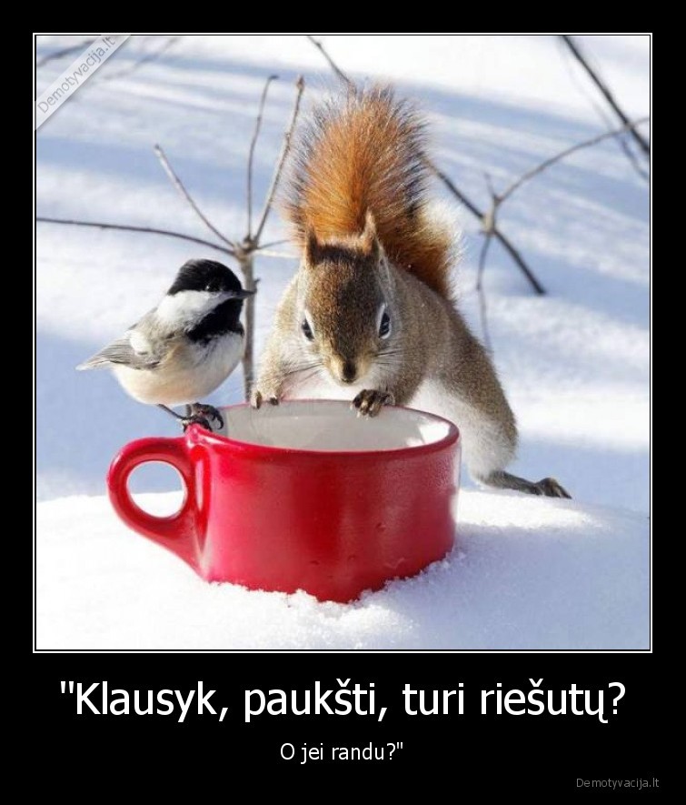 paukstis,vovere,riesutai,marozas