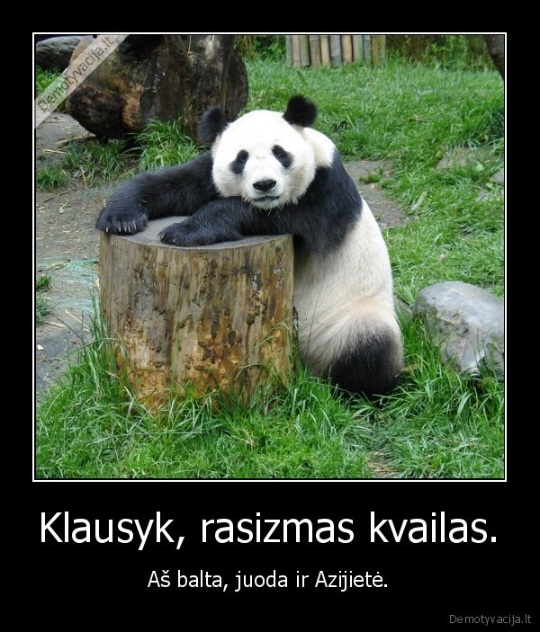 kas,gavoj,ta,ir,rasyk