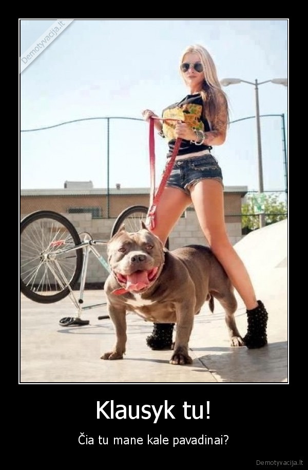 pitbulis, suo, mergina