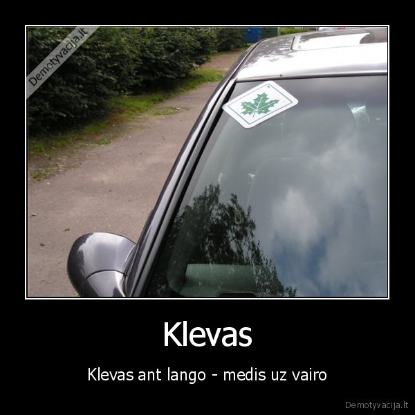 klevas,vairuotojas,masina,automobilis