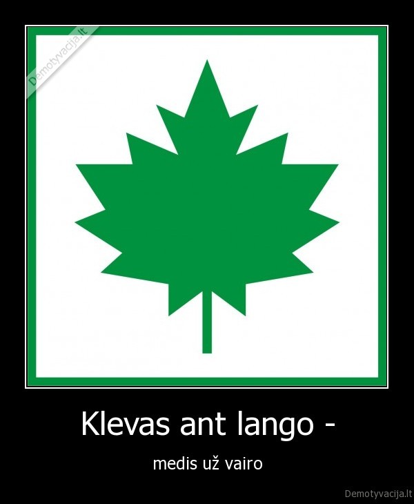 Klevas ant lango -