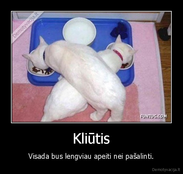 Kliūtis