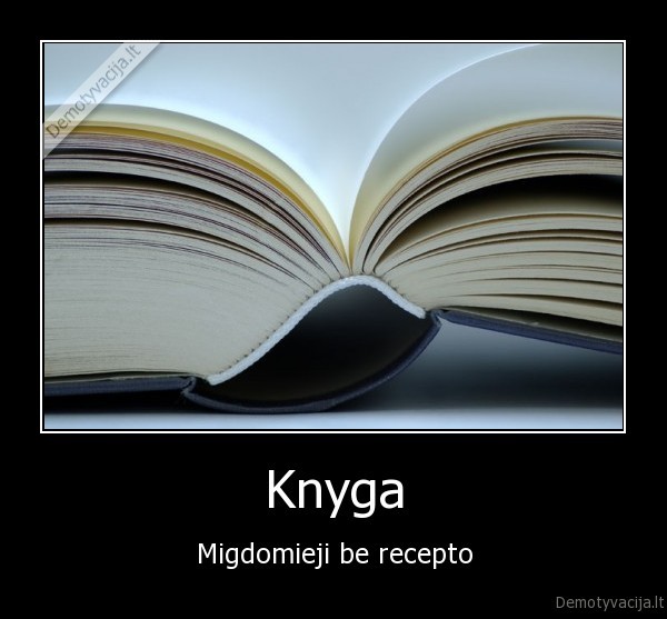 Knyga