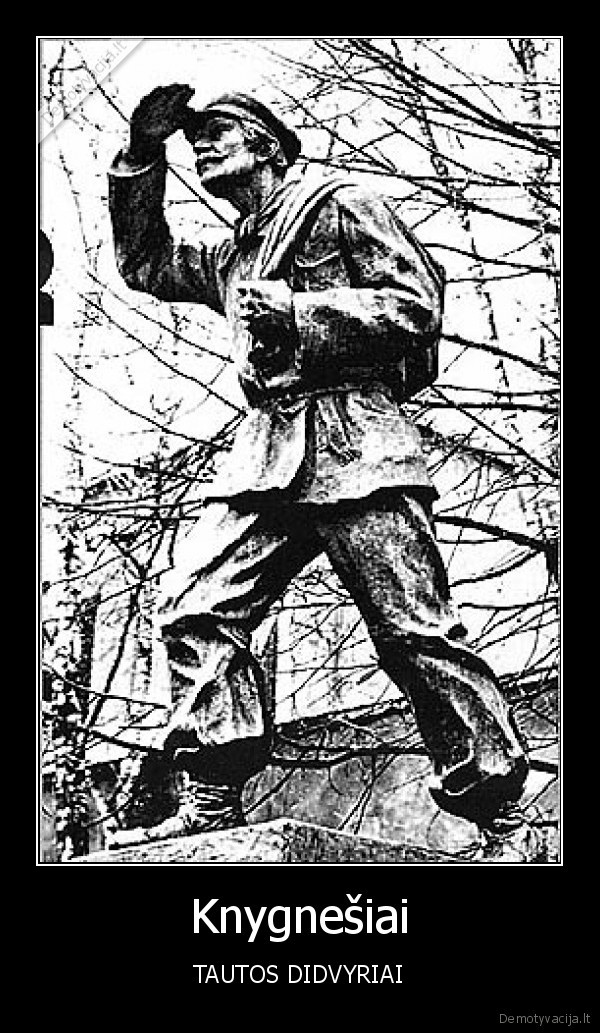 knygnesiai,tauta,lietuva,didvyriai
