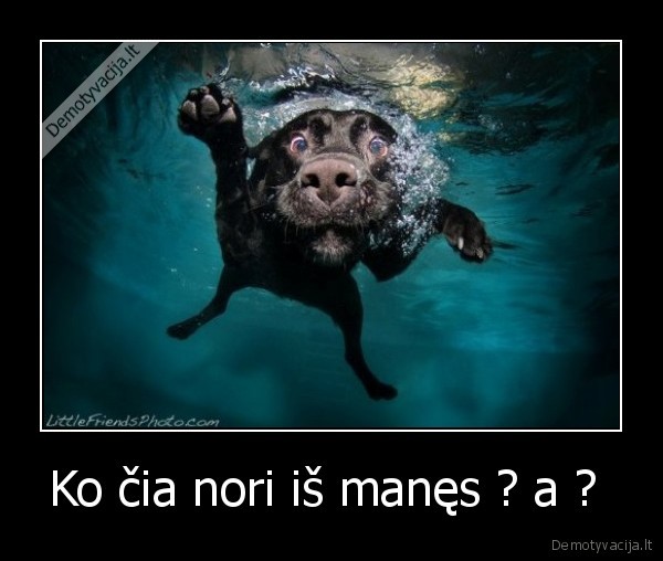 Ko čia nori iš manęs ? a ? 