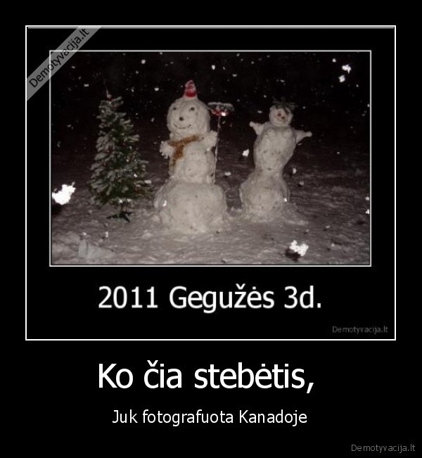 kanada, geguze, sniegas