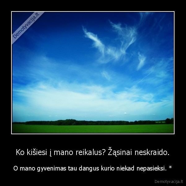 Ko kišiesi į mano reikalus? Žąsinai neskraido.