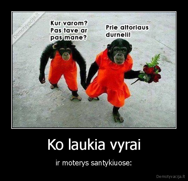 vedybos,pora,altorius