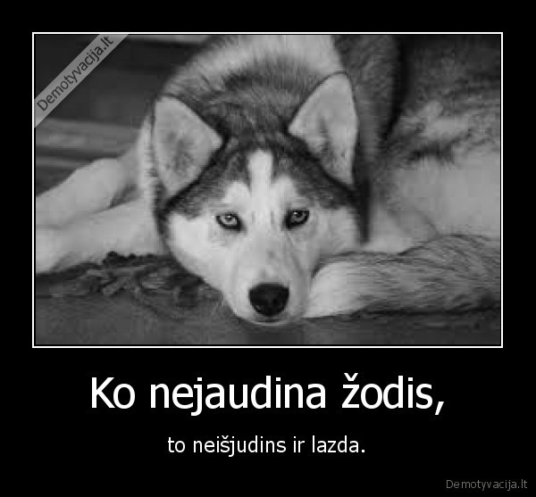 Ko nejaudina žodis,