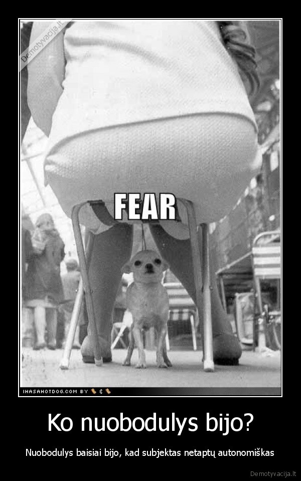 nuobodulys,nera, ka, veikti,idomu,faina,linksma,facebook,demotyvacija