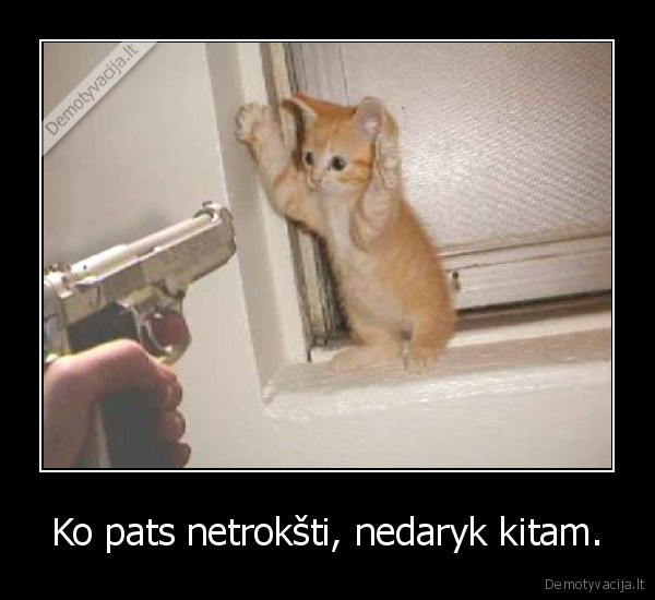 kate,vagis,nusikaltimas