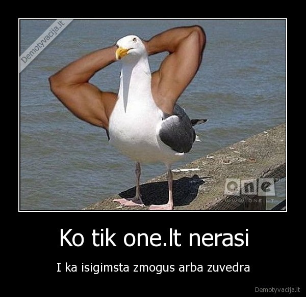Ko tik one.lt nerasi