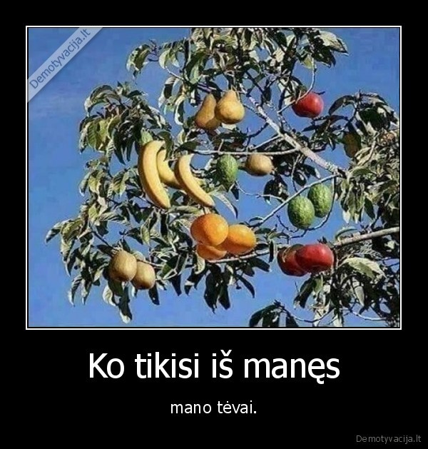 tevai,vaisiai,as,tikslai