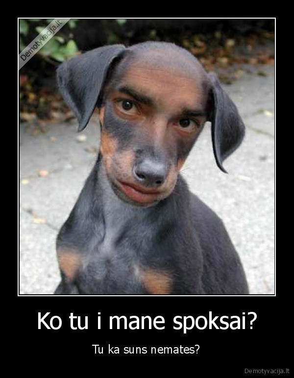 Ko tu i mane spoksai?