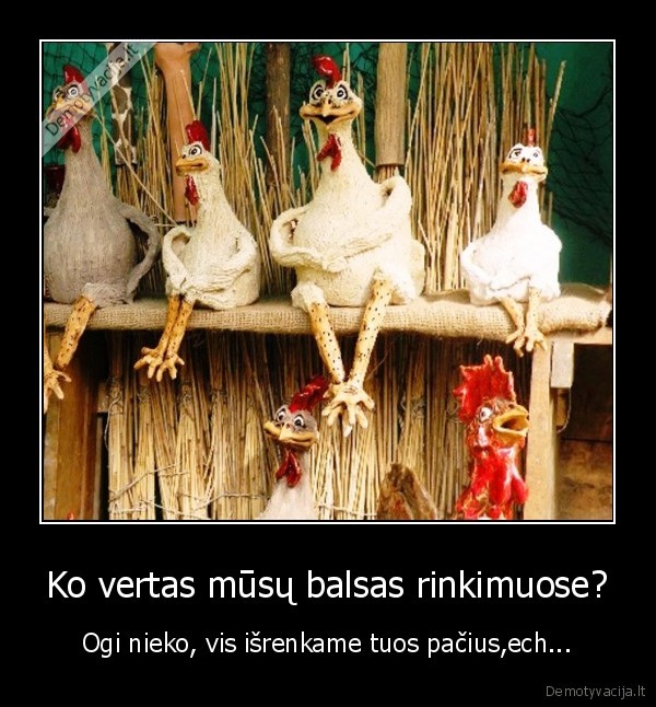 Ko vertas mūsų balsas rinkimuose?