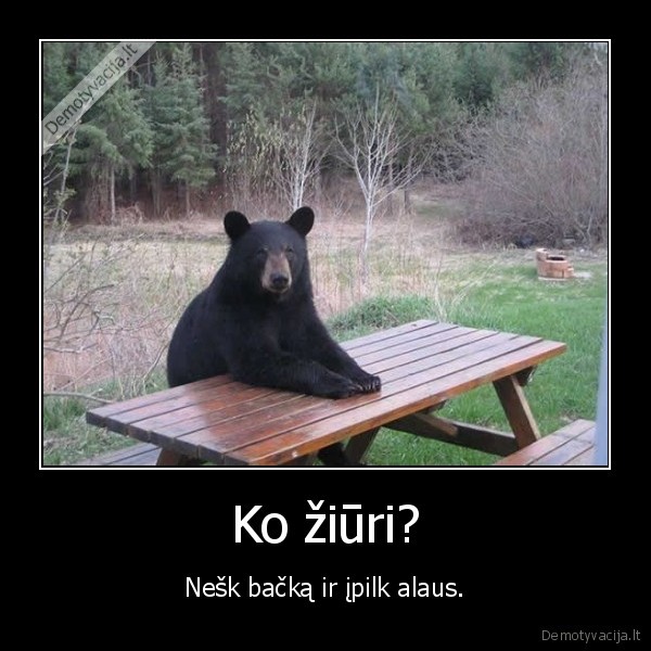 meska,gyvunai,stalas,alus,kubilius