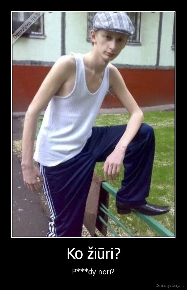 marozas,ziureti,agresyvus