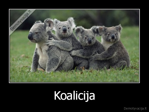 koalos,keturios, koalos,mazos, koalos