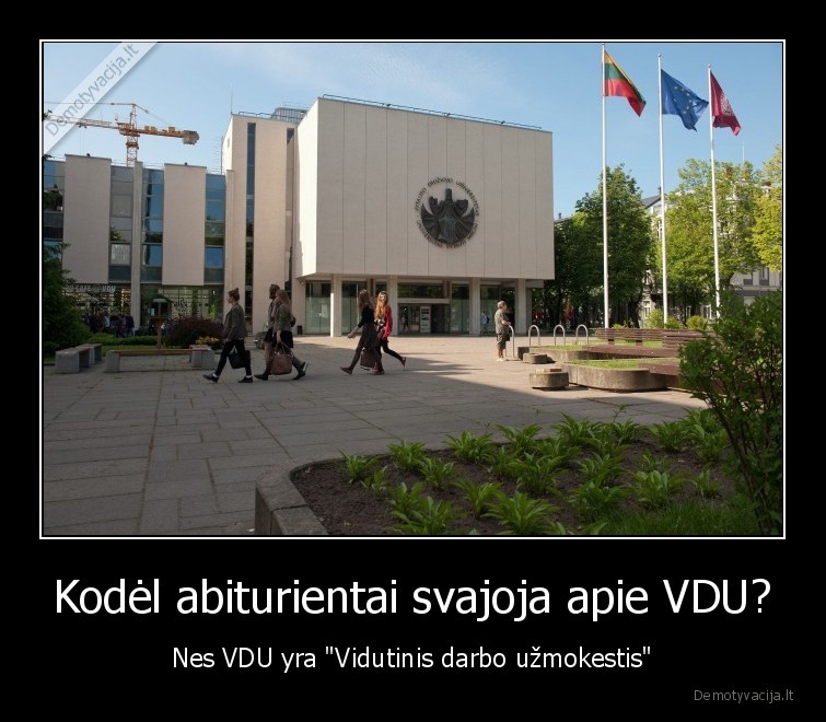 vdu,studijos