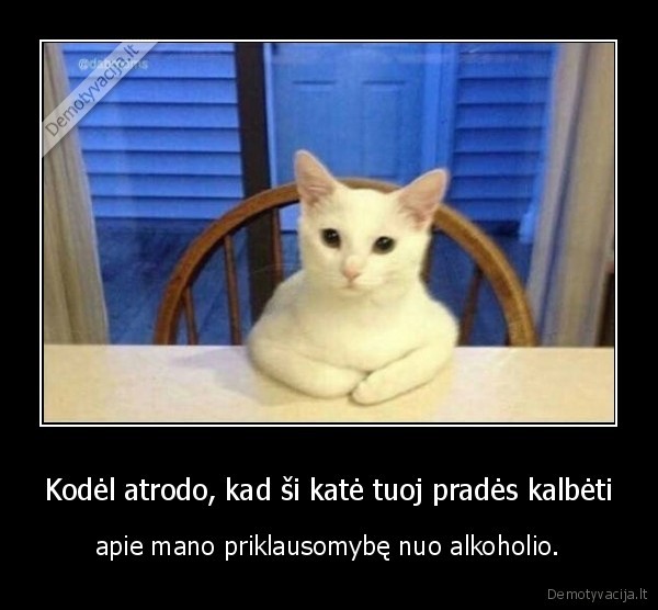 kate,katinas,priklausomybe,alkoholis