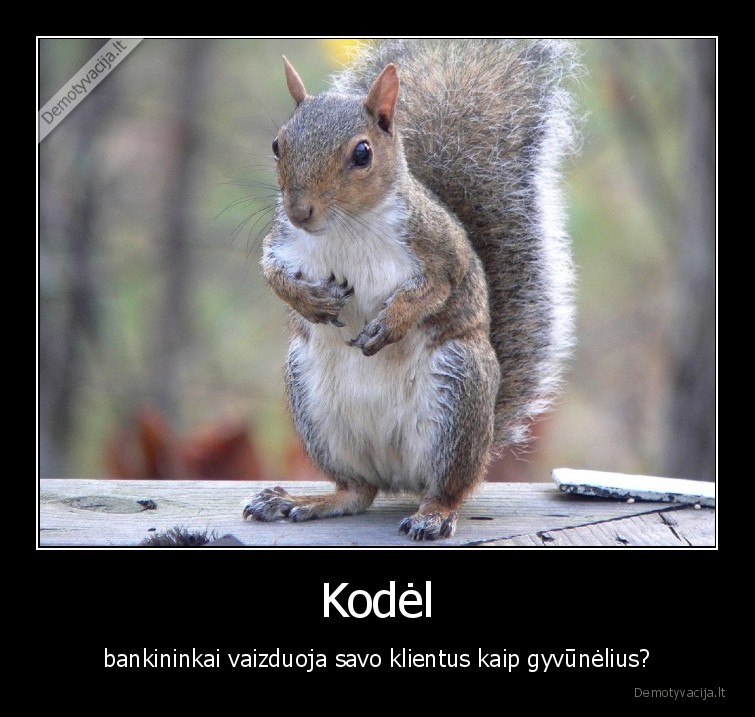 Kodėl