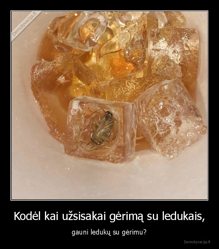 gerimai,alkoholis,ledukai