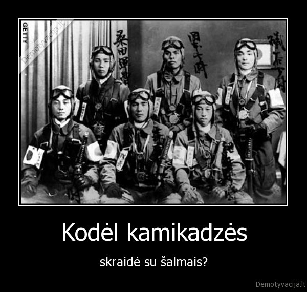 Kodėl kamikadzės