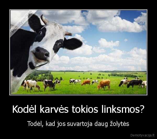 karves,linksmumas,zole