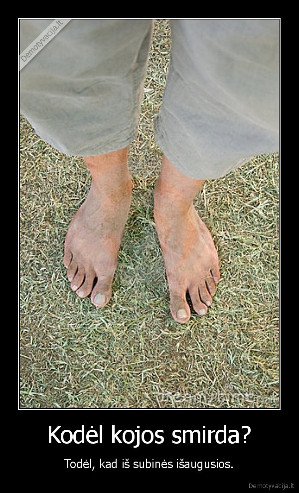 Kodėl kojos smirda?