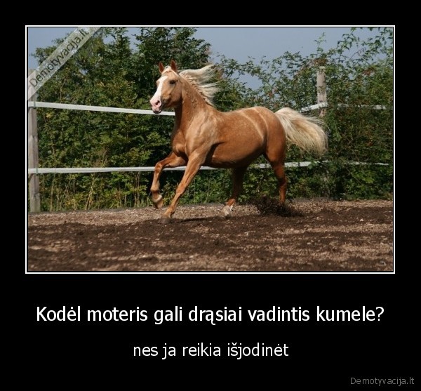 seksas, vyras, dirba