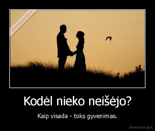 Kodėl nieko neišėjo?