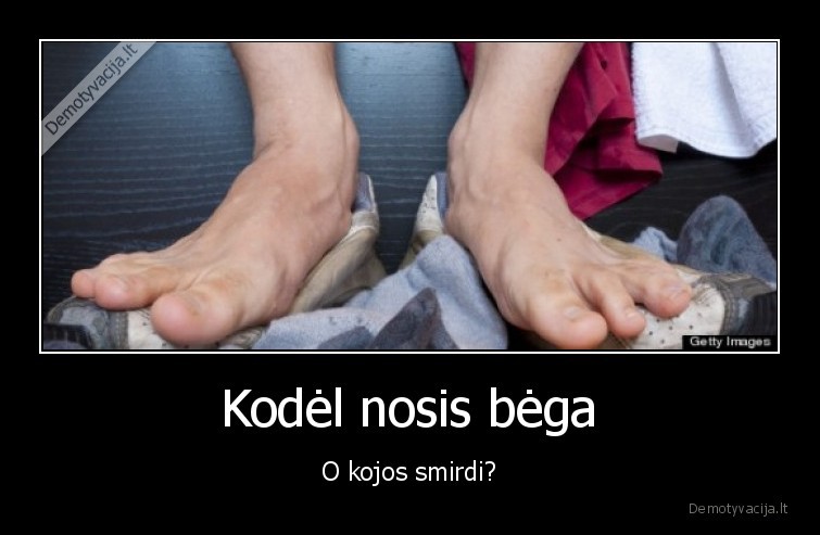 nosis, bega,nosis, varva,koju, smarve