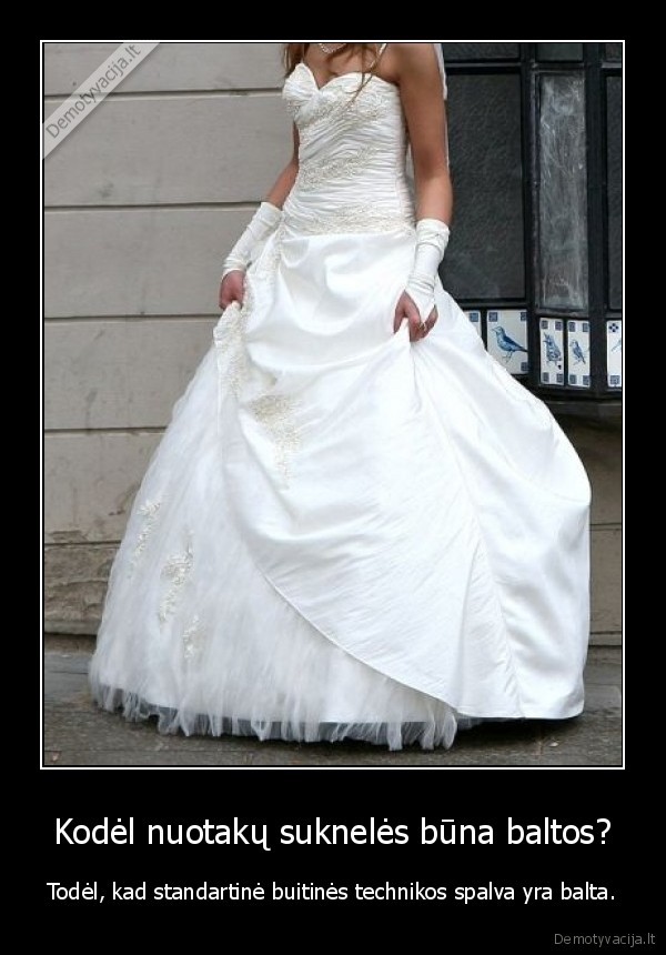 nuotaka,suknele