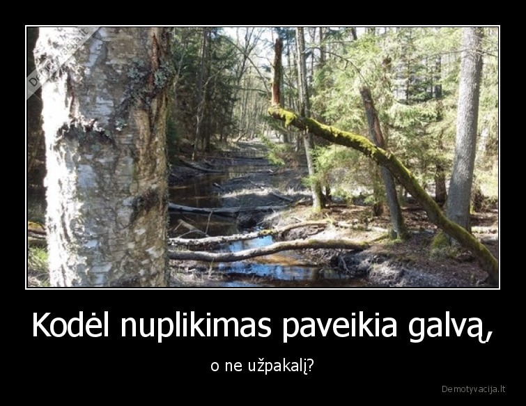 galva,nuplikimas,plike,uzpakalis